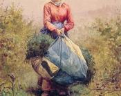 丹尼尔 李奇微爵士 : Gathering Leaves